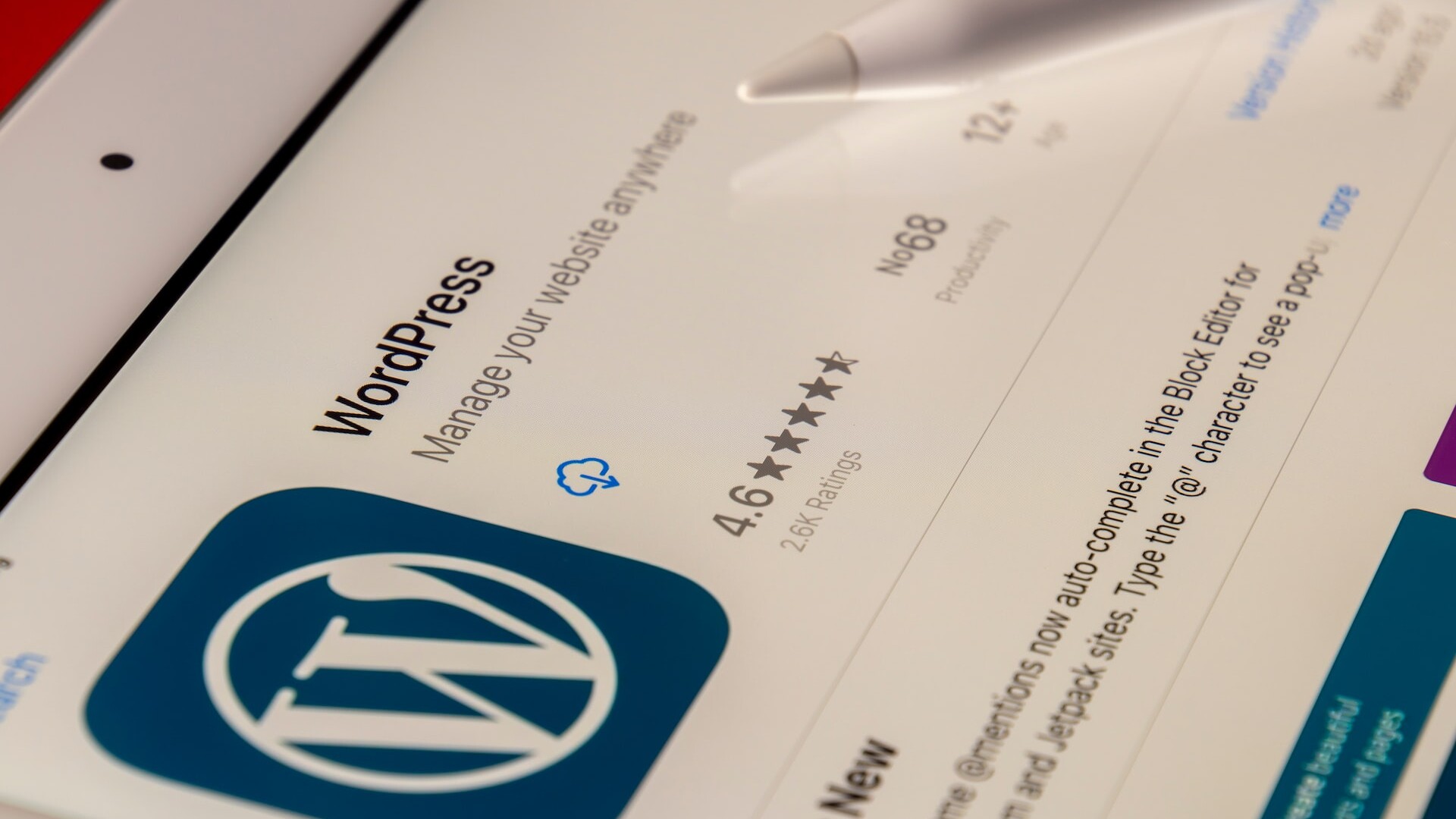 WordPress Web Design Interface of WordPress.
