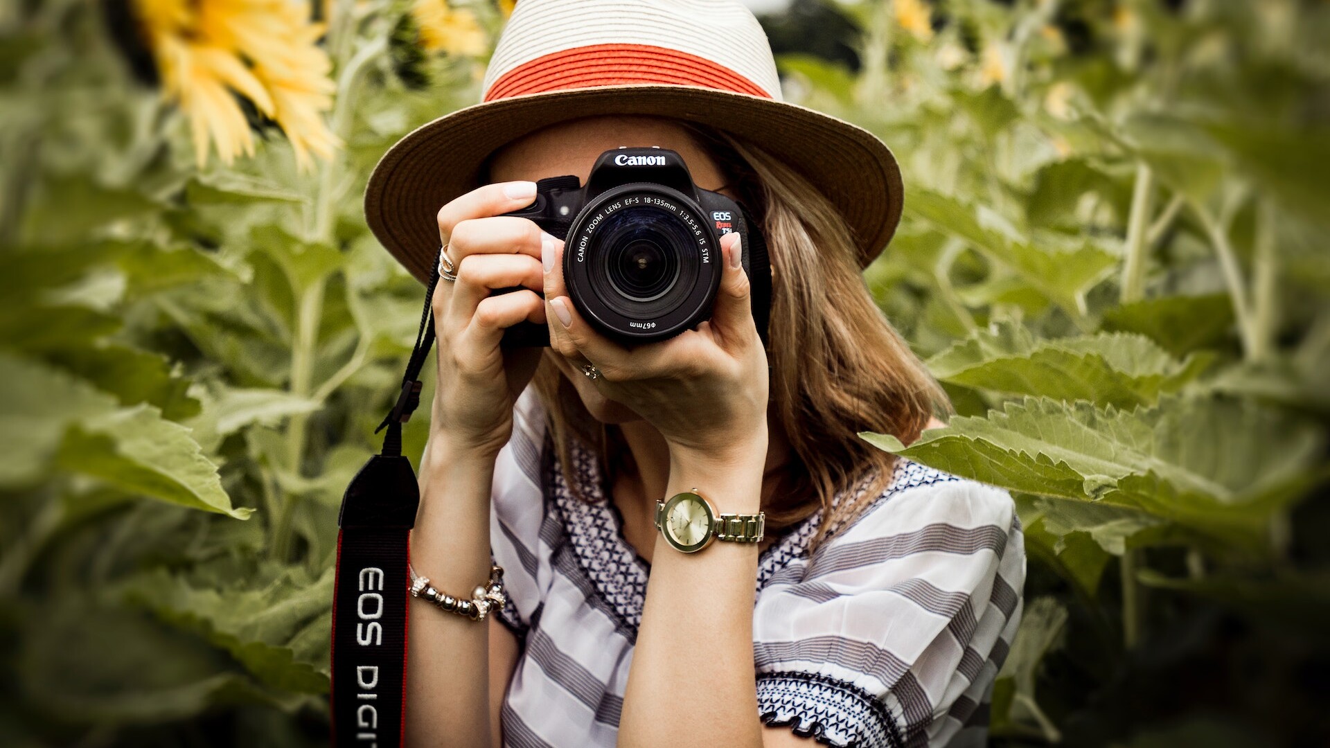 Person holding a camera in a sunflower field.